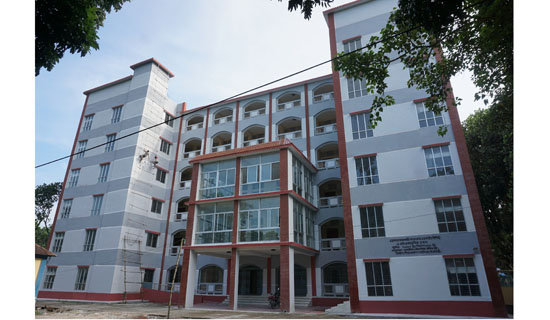 Domar Government College